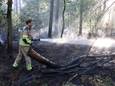 De brandweer is de afgelopen dagen druk geweest met brandjes bij de Oisterwijkse bossen.