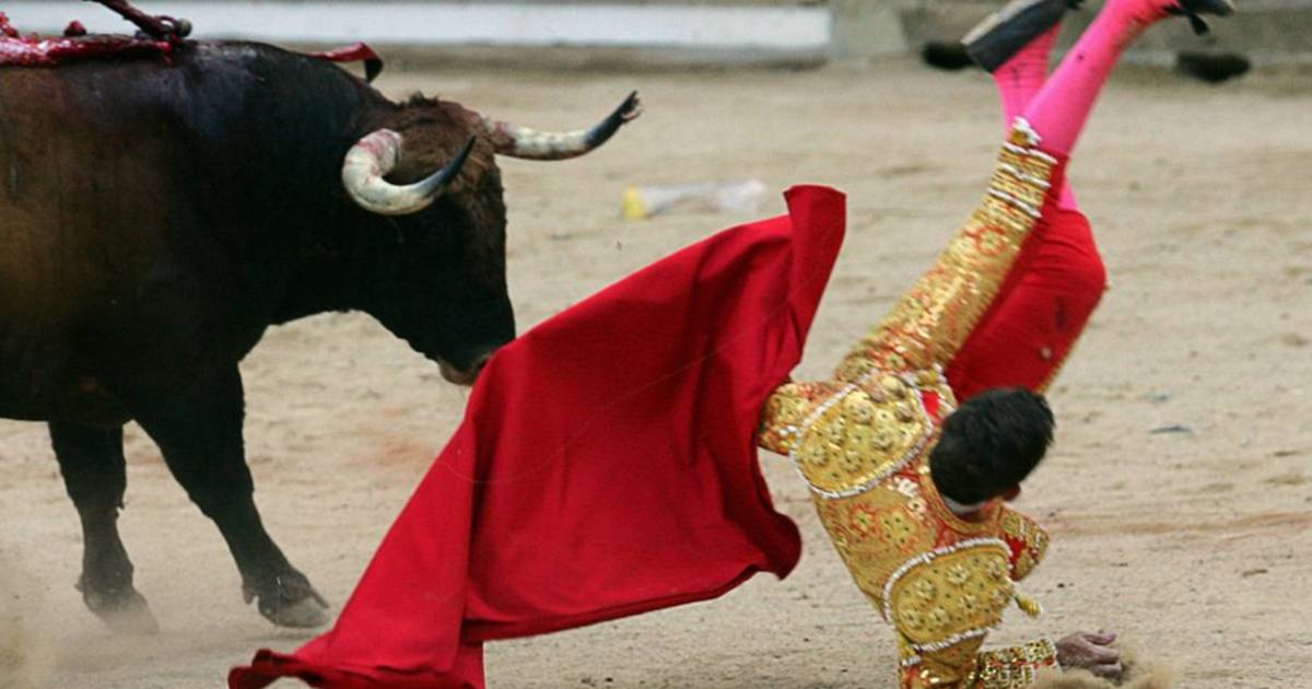 stierenvechten weer live bij de spaanse publieke omroep buitenland ad nl
