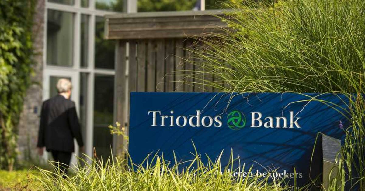 The court rejects the application for investigation of Triodos Bank |  Banking services