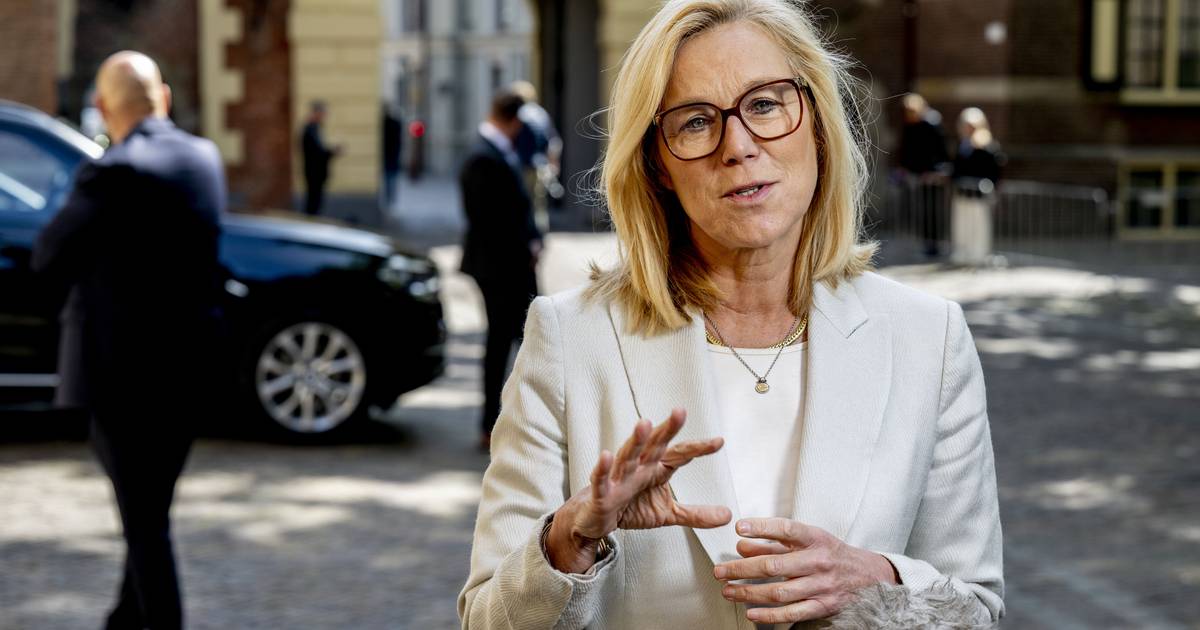 Sigrid Kaag leaves politics: 'Work puts a heavy burden on my family ...