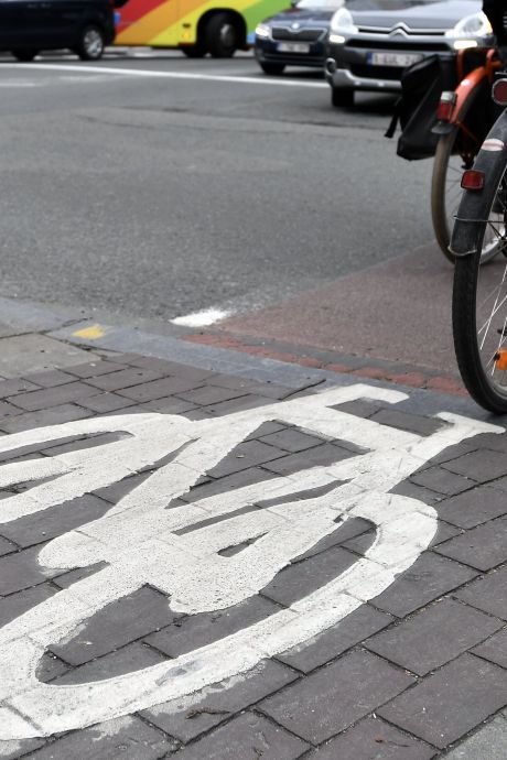 Près d’un Belge sur trois se rendait au travail à vélo en 2023