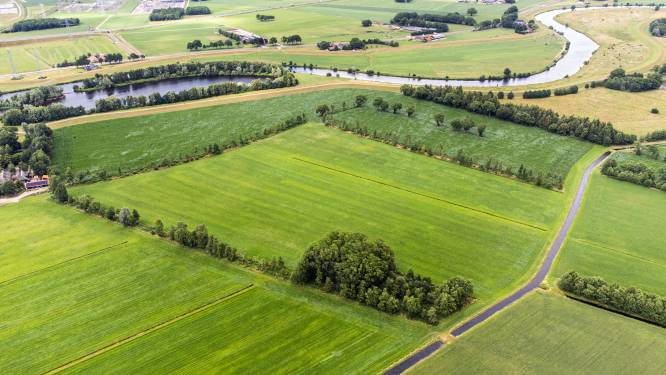 Komst van zonnepark Dalfsen lijkt nabij: ‘We gaan schoorvoetend akkoord’