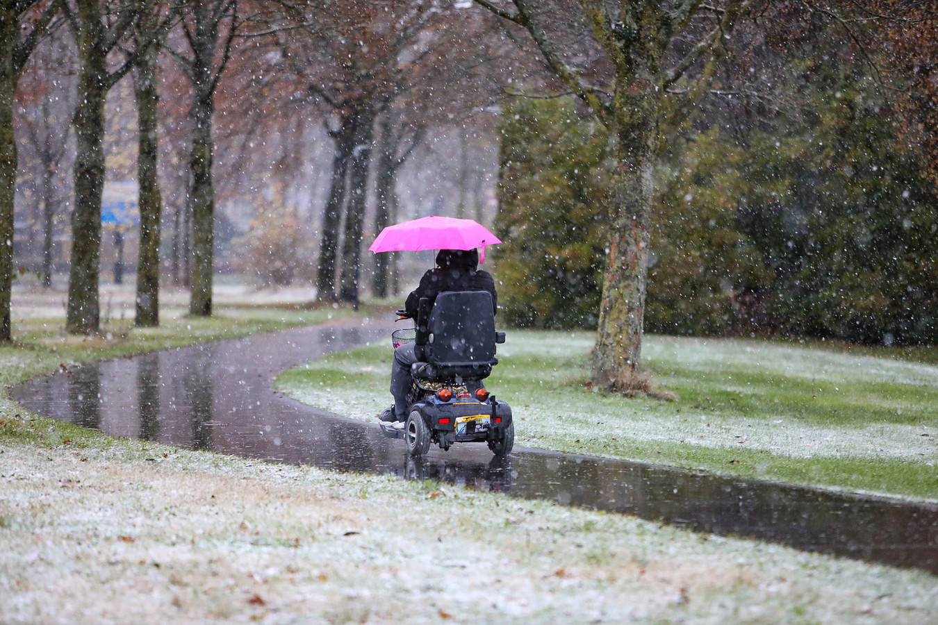 De eerste natte sneeuw in Apeldoorn is een feit.