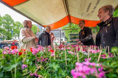Gebrek aan animo (en vooral geraniums) nekt Geraniummarkt Wouw