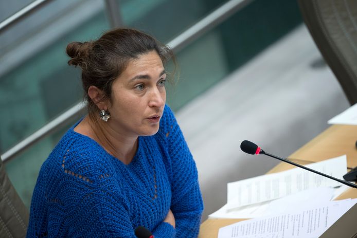 Vlaams minister van Justitie Zuhal Demir (N-VA).