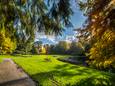 Het Ledeboerpark waar het slachtoffer werd beroofd