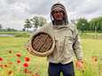 Imker Sandro (31) geeft tips om bijen te helpen: “Zorg voor wat verwildering in de tuin”