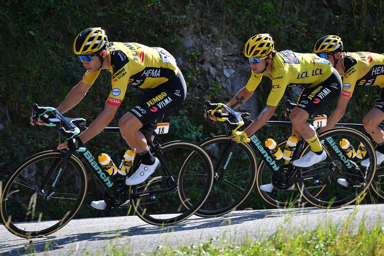 Van Aert met Primoz Roglic in zijn spoor.  Beeld BELGA