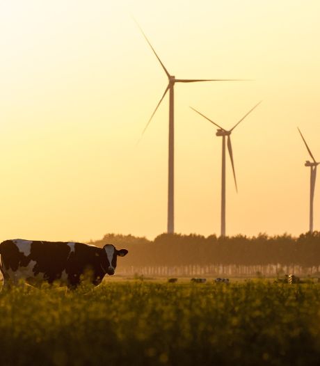 Gezocht: 60 plekken voor windmolens in provincie Utrecht, want we lopen achter op schema