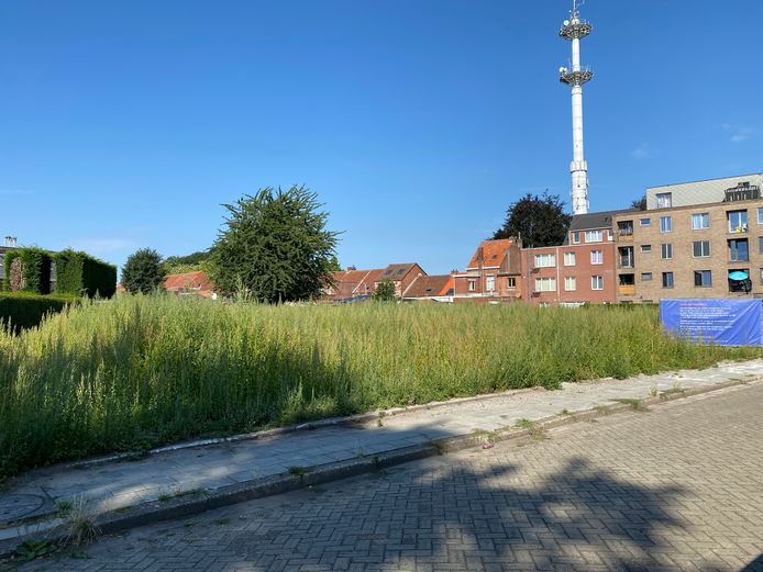 De bloemenweide in de Boerenkrijglaan heeft zijn effect gemist