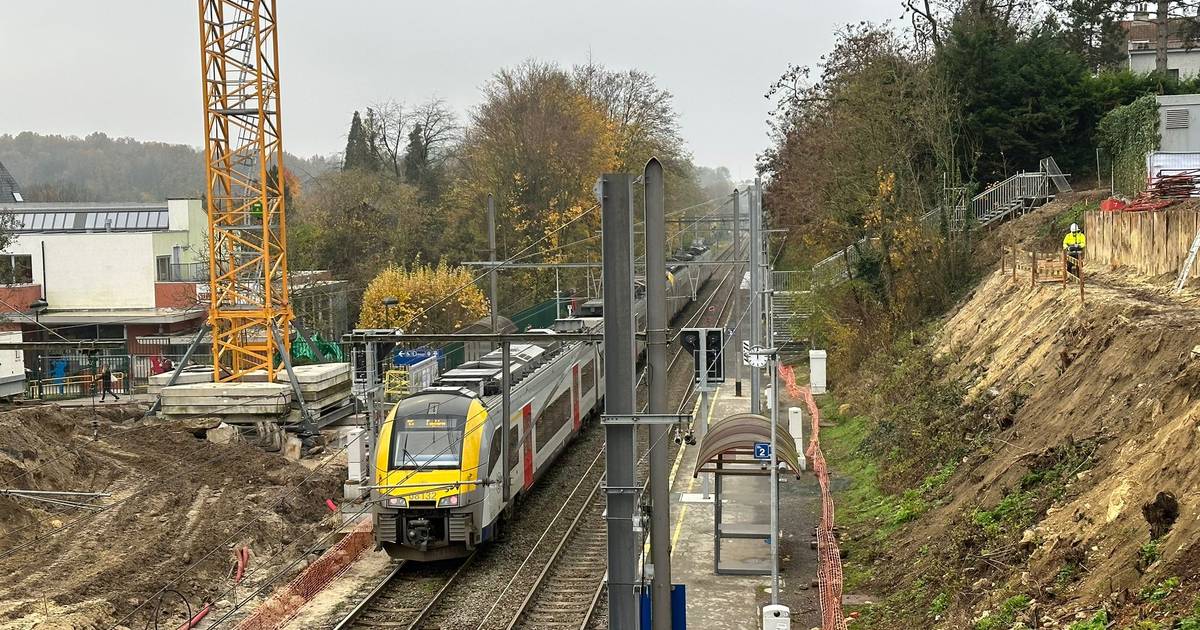 Werken aan de Carsoelbrug in SintJob klaar tegen najaar 2025 Brussel