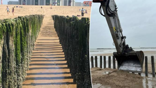 Waarom de iconische paaltjes op het strand van Knokke-Heist nu tóch niet weg moeten: “Maar een romantische fotoshoot wordt sowieso onmogelijk”