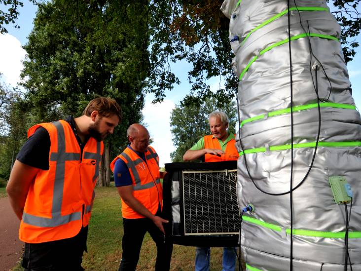 Zelfs in buitenland is interesse: hoe Marc doodzieke bomen redt door ze op te warmen