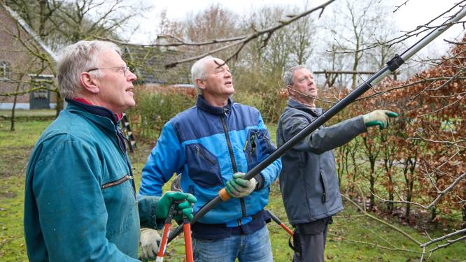Wie wil de boom in? Gebrek aan vrijwilligers bij Hoogstambrigade