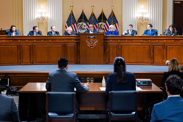 Parlementaire commissie VS wil Steve Bannon