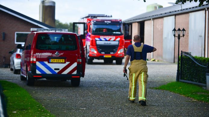 De kalfjes zijn door de brandweer veilig eruit gehaald.