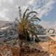 Defensiespecialist Ko Colijn: "Aanval op Syrië was niet veel meer dan symbolische daad"