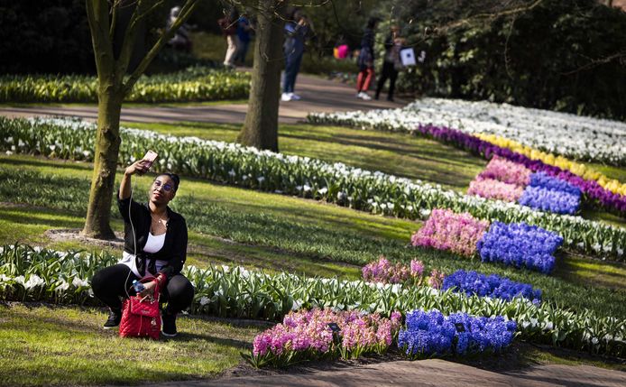 Bloemen staan volop in bloei in bloemenpark de Keukenhof. Twee jaar lang was het bekende bloemenpark gesloten vanwege de coronacrisis. Het is de 74e keer dat de bloemententoonstelling wordt gehouden.