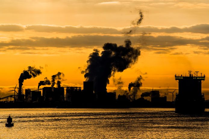 De industrie en het verkeer spelen volgens het Mesdagfonds een veel grotere rol bij de neerslag van stikstof in Natura 2000-gebieden.