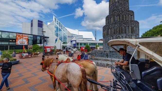 Duitse vredeskaravaan met paard en wagen maakt pitstop bij Lelypaal: ‘Lelystad is welkom om aan te sluiten’