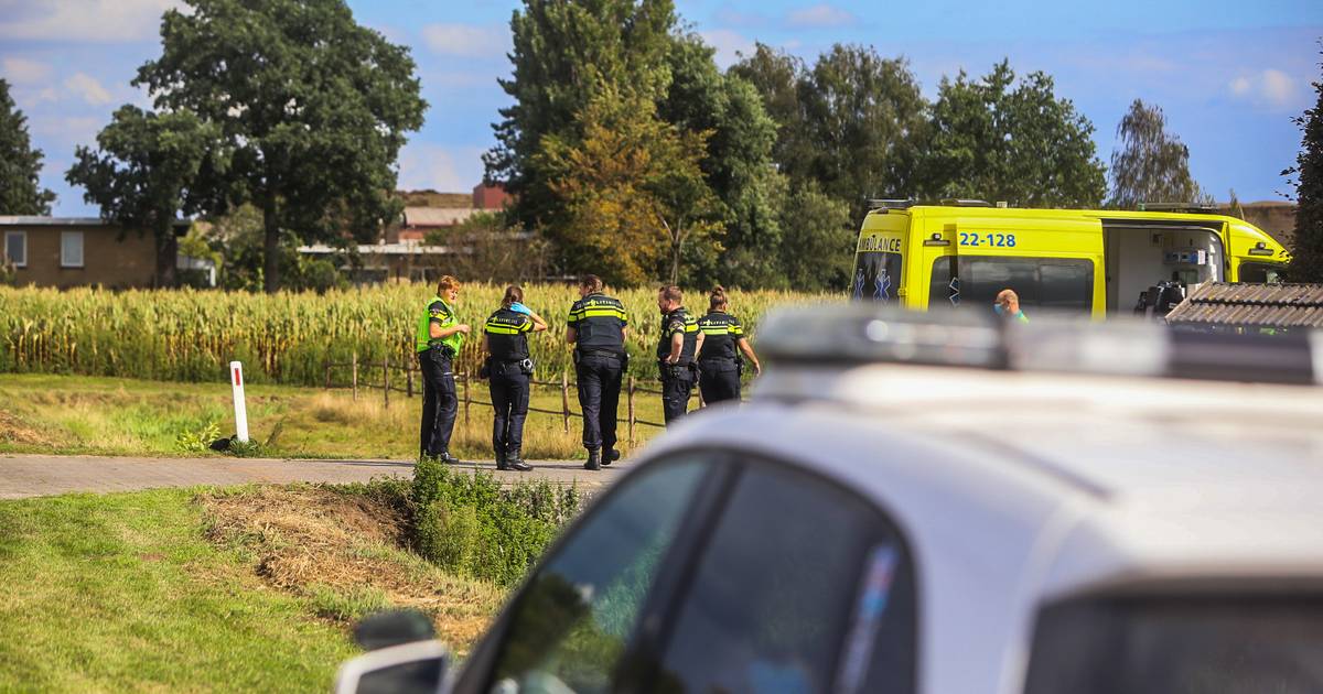 84-jarige man overleden bij ongeluk met grasmaaier - De Gelderlander