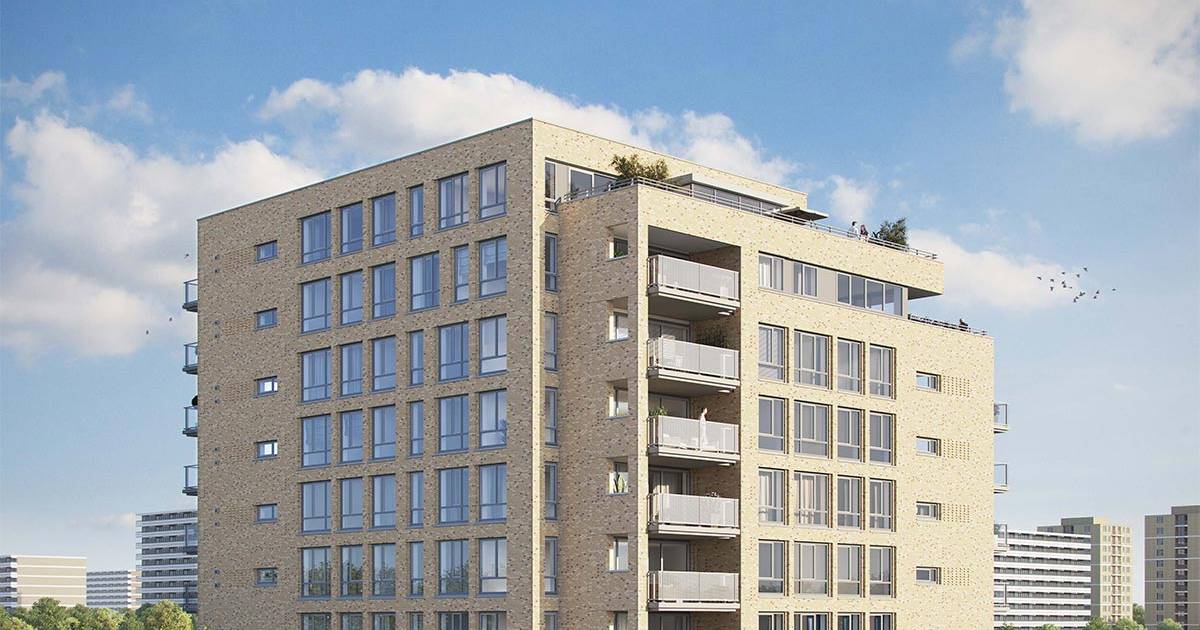 Nouveau projet de construction retiré de la vente : trop peu d’acheteurs pour des appartements jusqu’à 900 000 |  Domestique