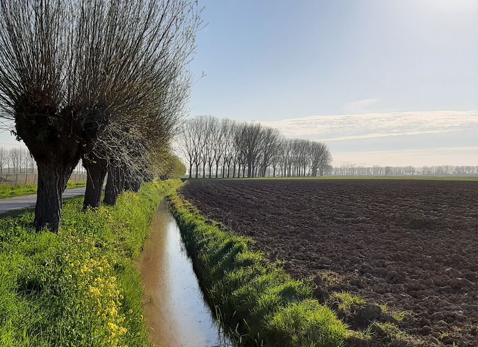 IVN Dintel- en Marklanden hoopt groepsactiviteiten als natuurwandelingen en excursies binnenkort weer op te starten.