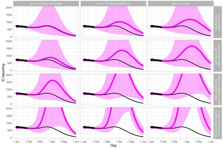 Aantal ic-patiënten met vaccinatie, zonder vaccinatie, met geopende basisscholen, zonder. Beeld RIVM