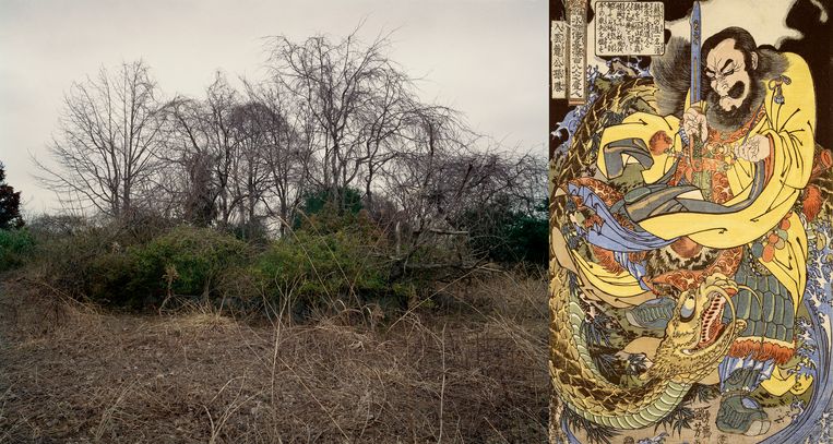 Foto's van de postnucleaire natuur in Fukushima, zij aan zij in Tree and Soil met oude Japanse prenten. Beeld Tree and Soil