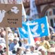 Hoe de Duitse Groenen van koers veranderden: van vrede zónder wapens, naar vrede dóór wapens