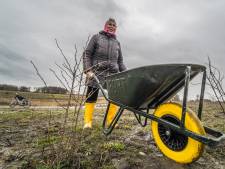 In de Nieuwe Driemanspolder staat straks een boom waarmee je de was kunt doen
