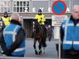 Politie te paard tijdens een inloopbijeenkomst in het gemeentehuis over de komst van een zogenoemde GVL in Zevenaar, inmiddels vijf jaar geleden.