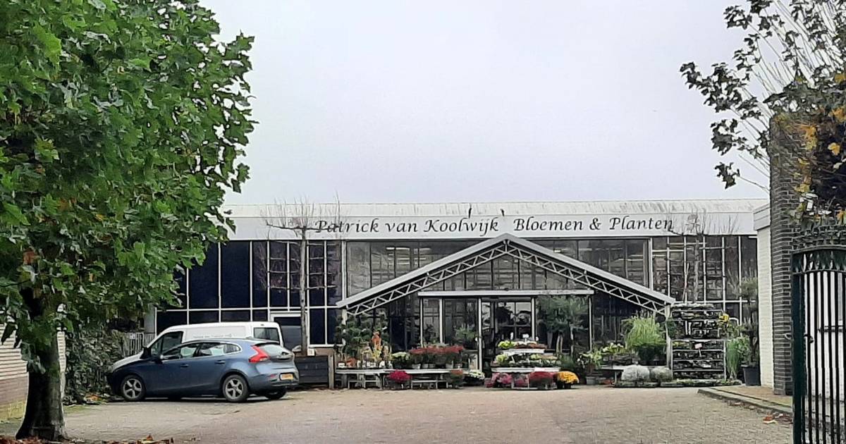 120 huizen op plek van tuincentrum in Velddriel; wethouder wil niet bouwen met de rem erop | Maasdri