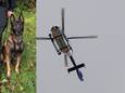Speurhond Kenzo uit Hengelo raakte vermist, een politiehelikopter hielp bij de zoekactie