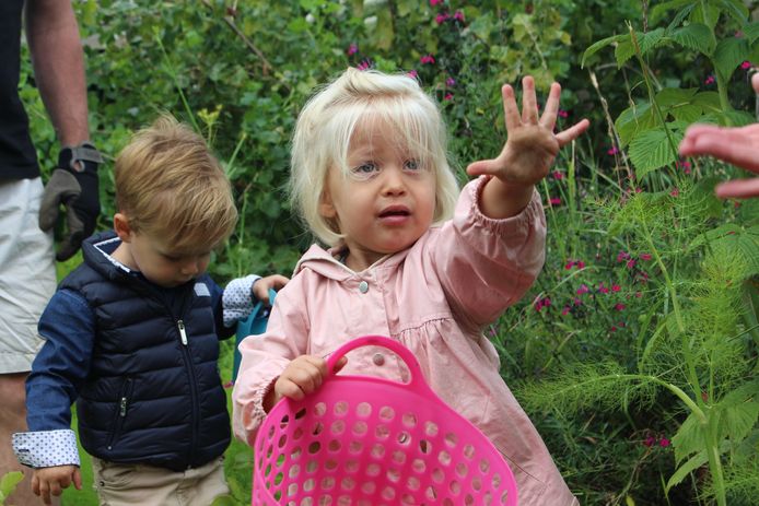 Kinderopvang Clara di Luna heeft eigen moes- en fruittuin waarin kinderen hun groenten en fruit zélf kweken en plukken. I-pads en televisie zijn er niet welkom