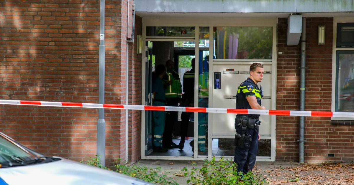 Aboutaleb be like: Deze stad is de afgelopen jaren nog nooit zo veilig geweest als nu.