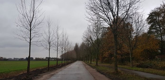 De Poeldijkstraat tussen Zelzate en Assenede.