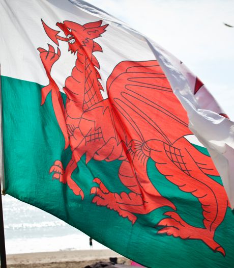 Une pétition officielle réclame “un pénis” pour le dragon sur le drapeau du Pays de Galles