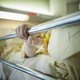 Ziekenhuiskoepel wil strengere euthanasiewet