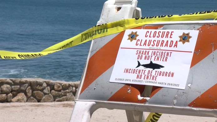 Un homme qui était en train de nager, a été grièvement blessé mercredi, après avoir été attaqué par un requin à Pacific Grove, en Californie.