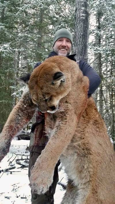 Canadese tv-jager krijgt woedende reacties op foto's van gedode poema