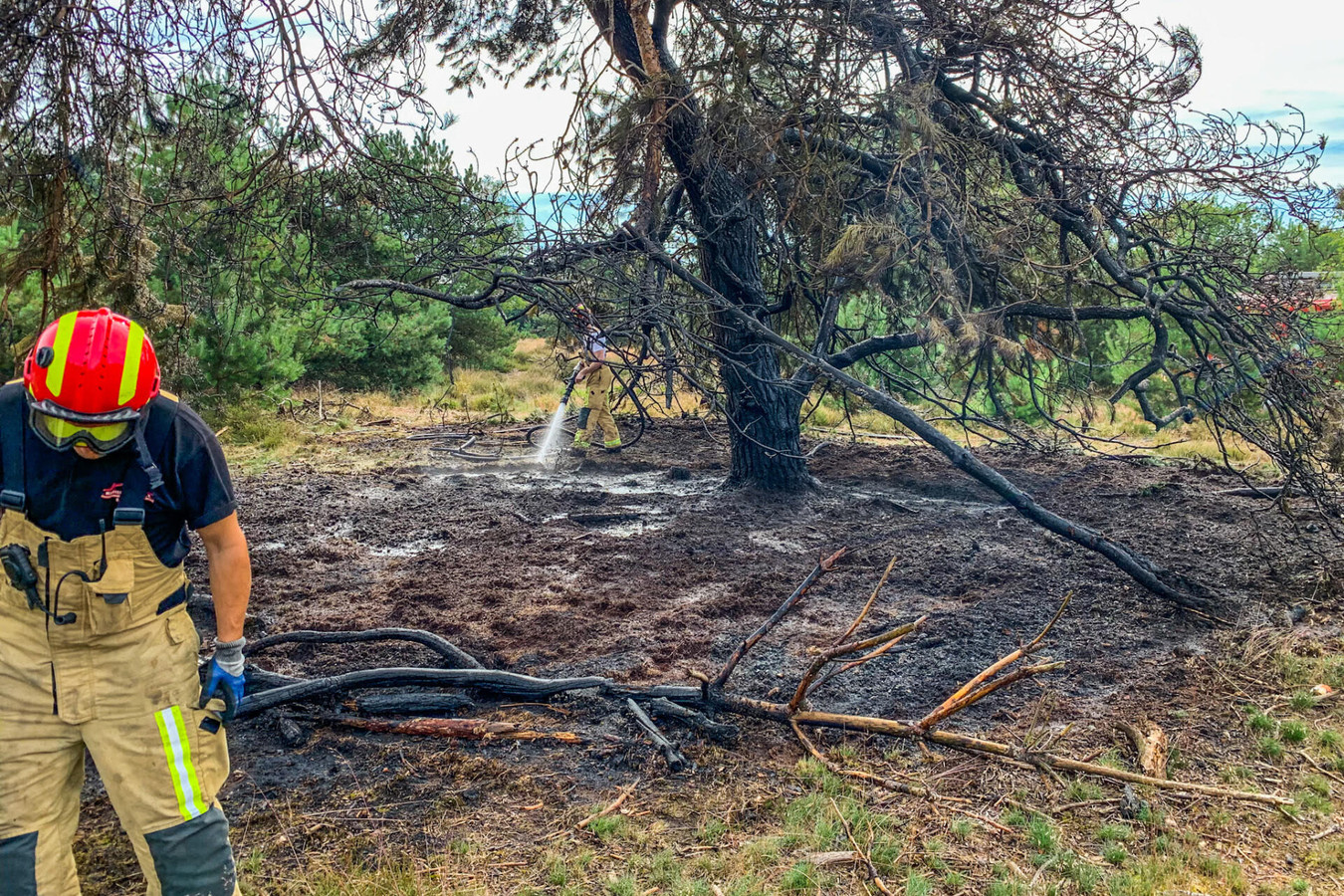 Bij een natuurbrand op de Groote Heide tussen Geldrop en Heeze is een stuk bos beschadigd geraakt.