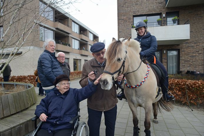 Vanuit haar rolstoel aait Ali Tuinman een paard. Naast haar Jan-Willem, haar man.