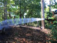 Brandweer rukt uit voor natuurbrand in Soest: vuur snel onder controle