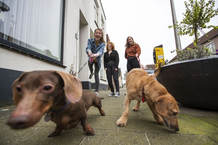 Linde Kampman (bril) heeft samen met haar huisgenotes Nicole Schipper (spijkerjas) en Jeltje Alberts (bruin vest) brieven verstuurd in de buurt. Ze willen met plezier boodschappen doen en honden uitlaten.