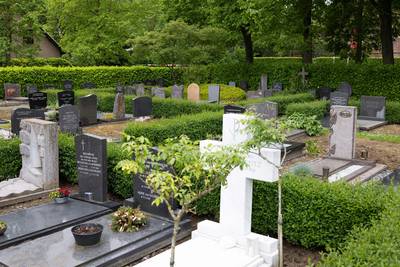 Meer menselijke resten? Grond bouwplaats op oude katholieke begraafplaats wordt uit voorzorg gezeefd