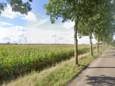 Zo ziet het uitzicht vanuit Geffen op de Duurzame Polder er straks uit volgens de gemeentes Den Bosch en Oss