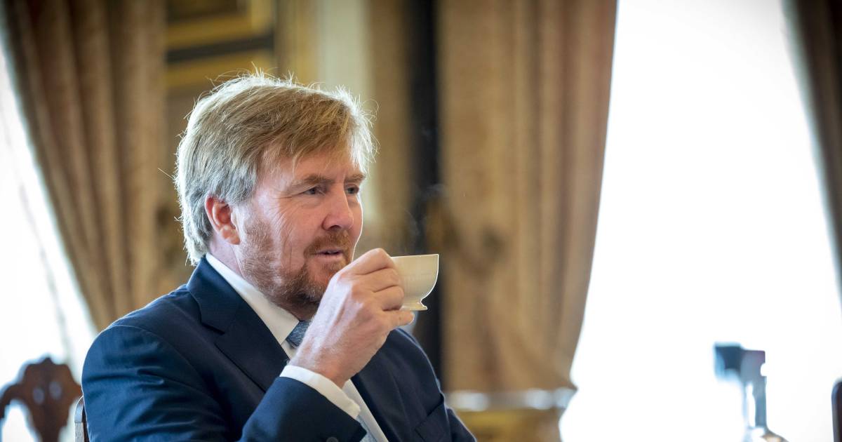 images Rtl Boulevard Koningshuis Expert koning willem alexander breekt vakantie