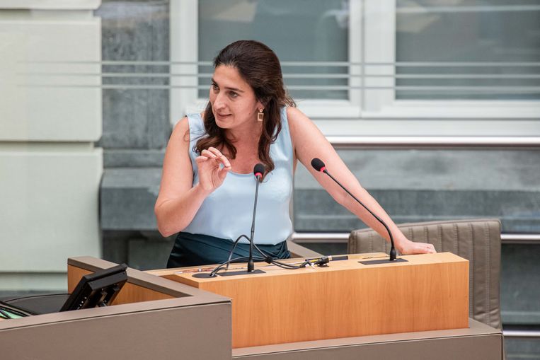 Minister van Omgeving Zuhal Demir bereikte een akkoord met 3M Belgium over de sanering van de PFOS-vervuiling. Beeld BELGA