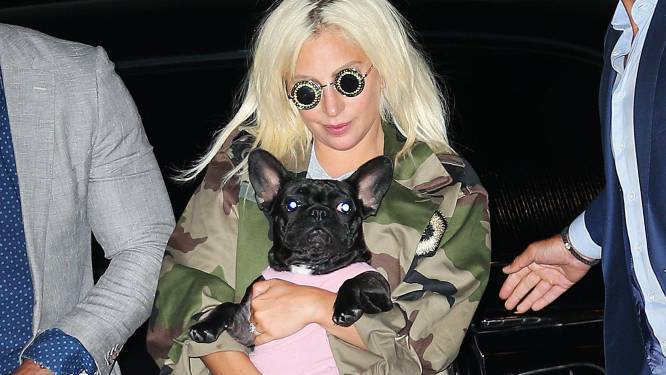 Libéré par erreur, le ravisseur des chiens de Lady Gaga activement recherché
